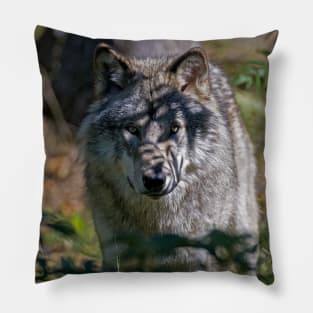 Timber Wolf Pillow