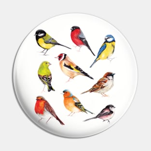 British Garden Birds Collection Pin