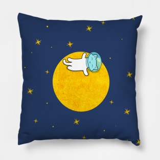 Moon, Stars and a Cat Pillow