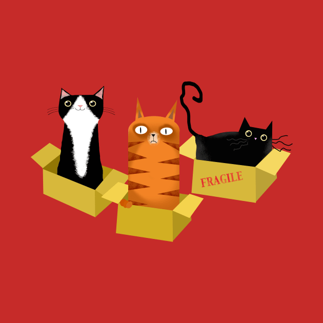 Cats in Boxes by Scratch