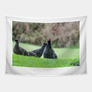ring necked pheasant 3 +3 Tapestry