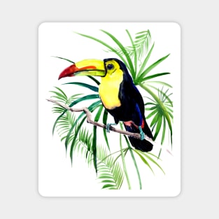 Toucan, Jungle tropical design illustration, Magnet