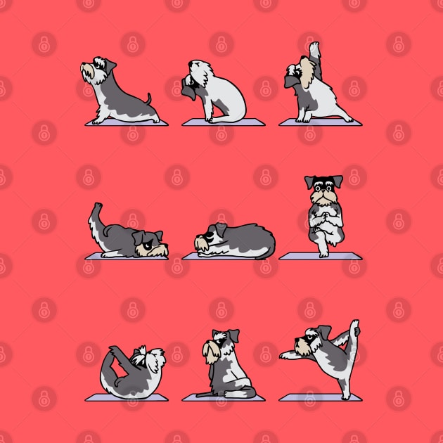 Miniature Schnauzer yoga by huebucket