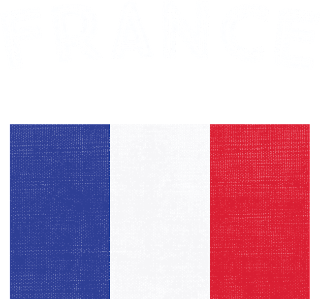 France Flag Kids T-Shirt by phenomad