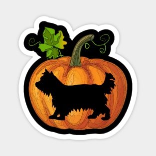 Yorkie in pumpkin Magnet