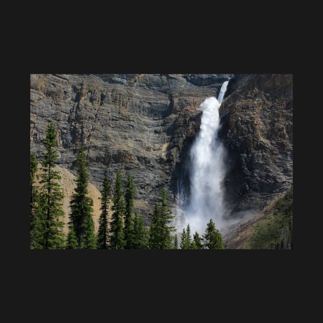 Takakkaw Falls 1 by charlesk