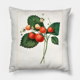 The Boston Pine Strawberry (1852) Pillow