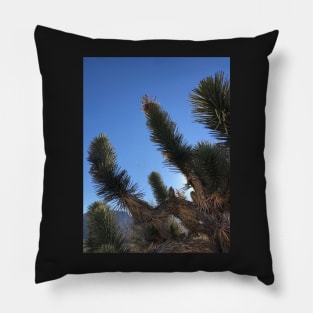 Joshua Trees Backlit by Sun Pillow