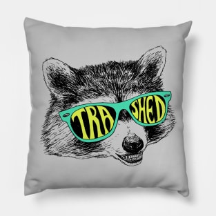 Trashed Pillow