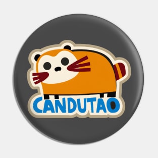 Candutao, the Coatimundi! Pin