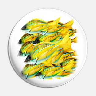 Blue Stripe Snapper Fish School Pin