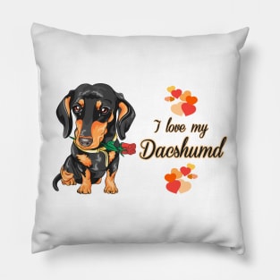 I love my Dachshund - rose! Especially for Doxie owners! Pillow