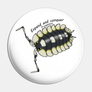 P. expansus Expand and conquer Pin