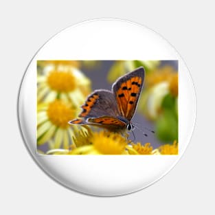 The Small Copper Pin