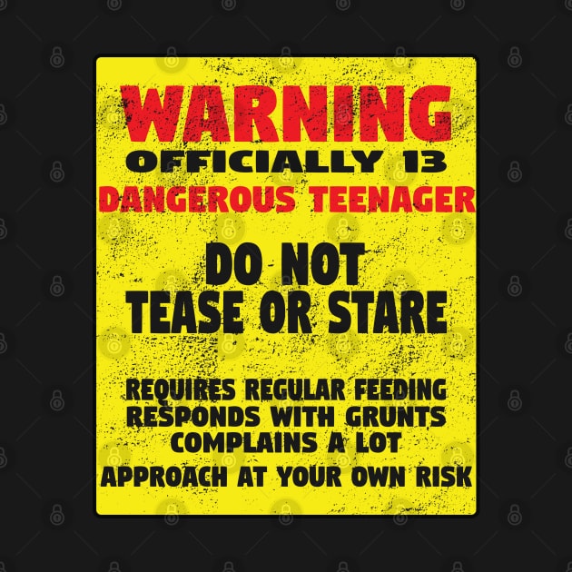 13th Birthday - Warning Officially 13 Dangerous Teenager by Kudostees