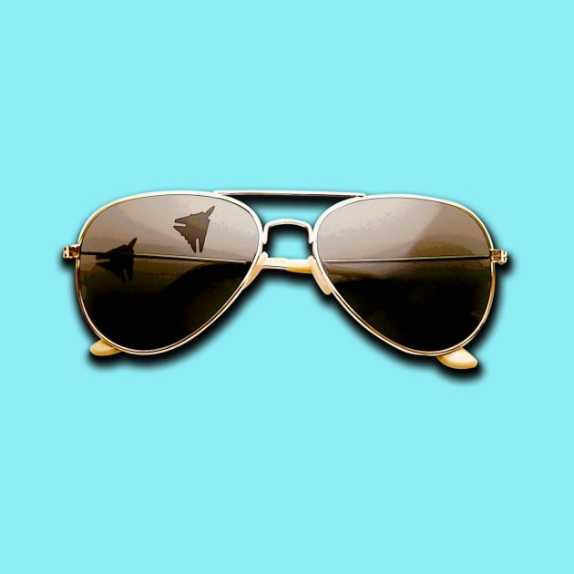 Top Gun Aviators by SchaubDesign