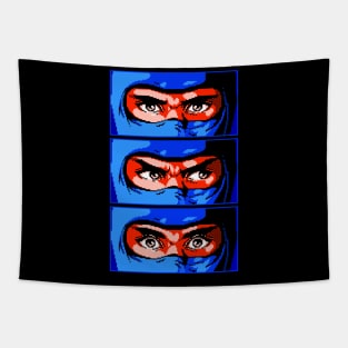 Hayabusa v3 Tapestry