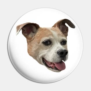 Jack Russell Terrier Mix - White Background Pin