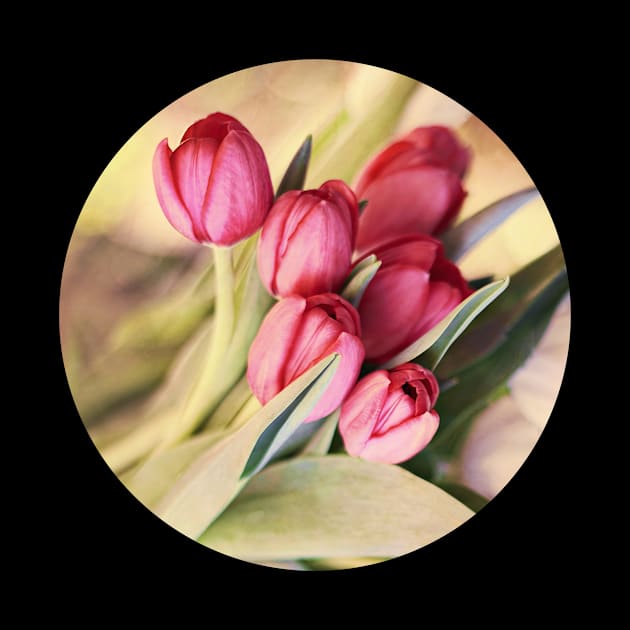 Vintage Tulips by micklyn