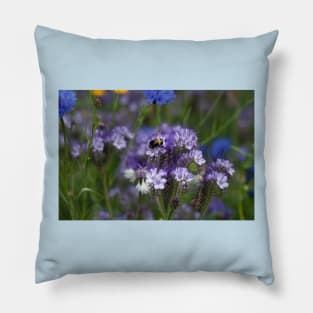 Blue Tansey and Buzzy Bee (2) Pillow