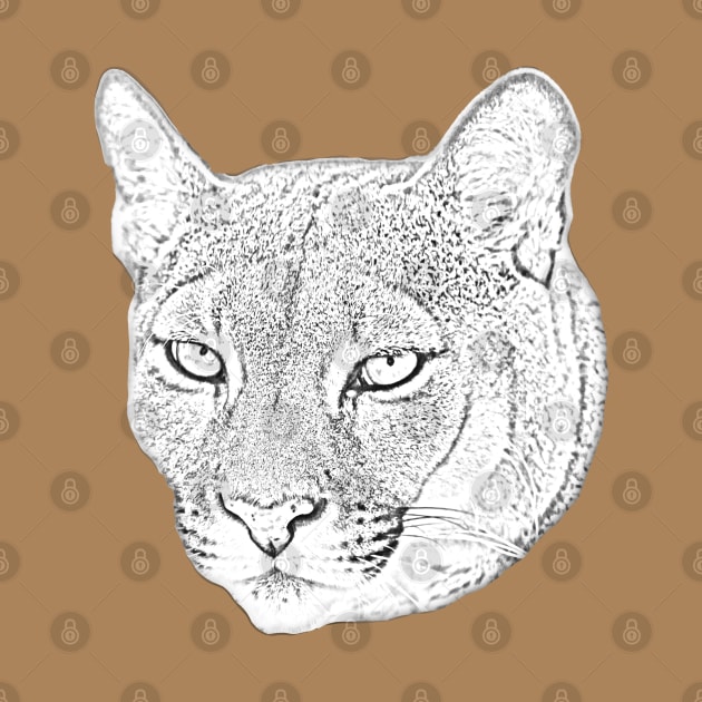 Mountain lion face converted to a drawing by dalyndigaital2@gmail.com