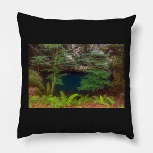 Lacul Dracului in Romania Pillow