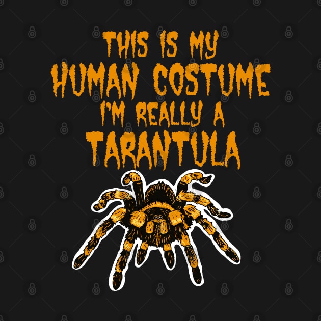 This is my Human Costume I'm Really a Tarantula by SNK Kreatures