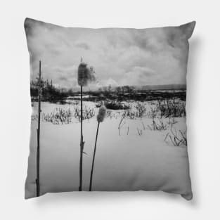 Winter's Dramatic Ballet V5 Pillow