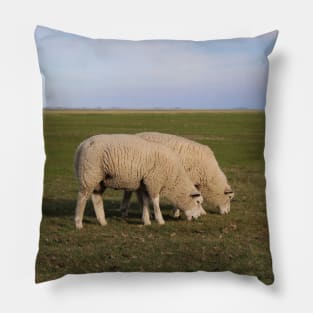 Grasende Schafe auf Nordseeinsel Pellworm Pillow