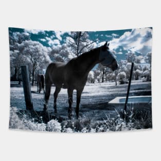 Snow Ponies Tapestry