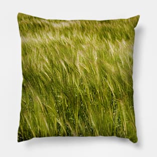 Light and dark patterns of barley - Yorkshire, UK Pillow