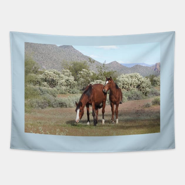 Wild horses, salt river, Sonoran desert, Arizona, wildlife gifts Tapestry by sandyo2ly