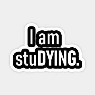 I am stuDYING Magnet