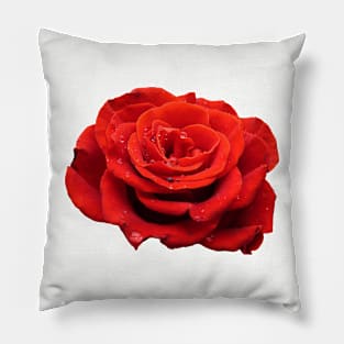 Red Rose Pillow