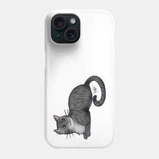 Cat - American Shorthair - Silver Tabby Phone Case