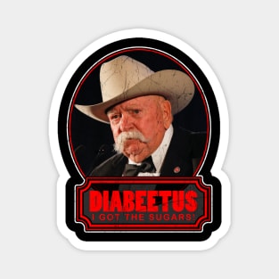 RETRO Vintage STYLE  DIABEETUS I GOT THE SUGARS! Magnet