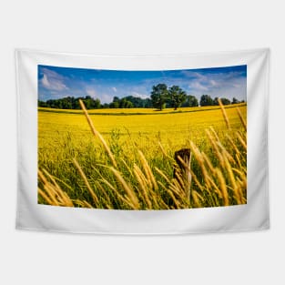 Summer Wheat Field 3 Tapestry