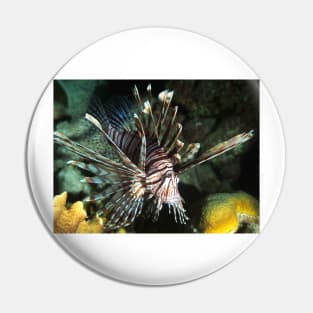 Caribbean Lion Fish Pin