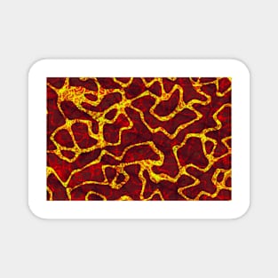 Lava Pattern Magnet