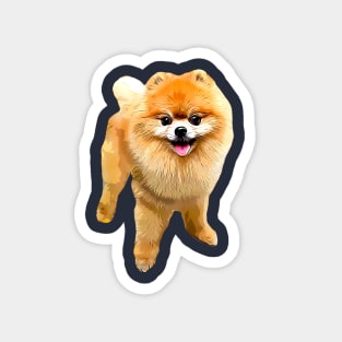 Pomeranian Dog with Style! Magnet