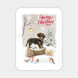 Wire Haired Dachshund Dog Merry Christmas Magnet