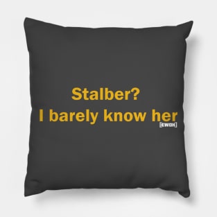 I barely know her! Pillow