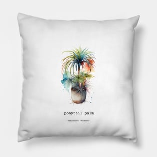 Ponytail Palm, Mexican Plant Pillow