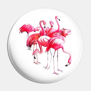 Flamingo's Pin