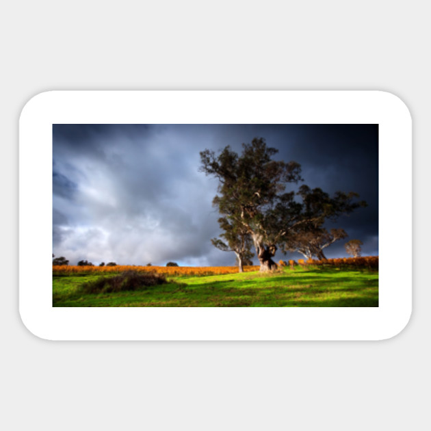 Trees Landscape