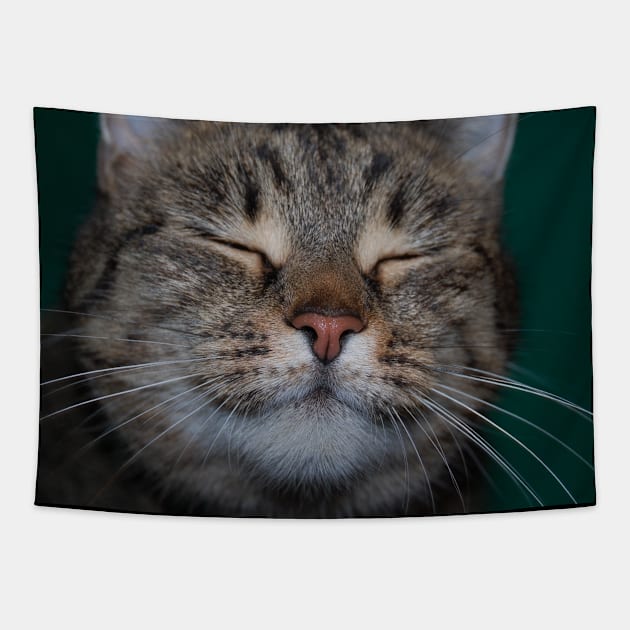Happy cat Tapestry by Evaaug