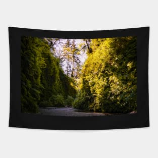 View of Fern Canyon Tapestry