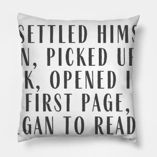 Began to Read Pillow