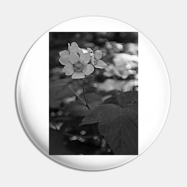 Glacier National Park Wild Flowers, black and white Pin by StonePics