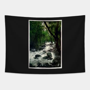 Stream Tapestry